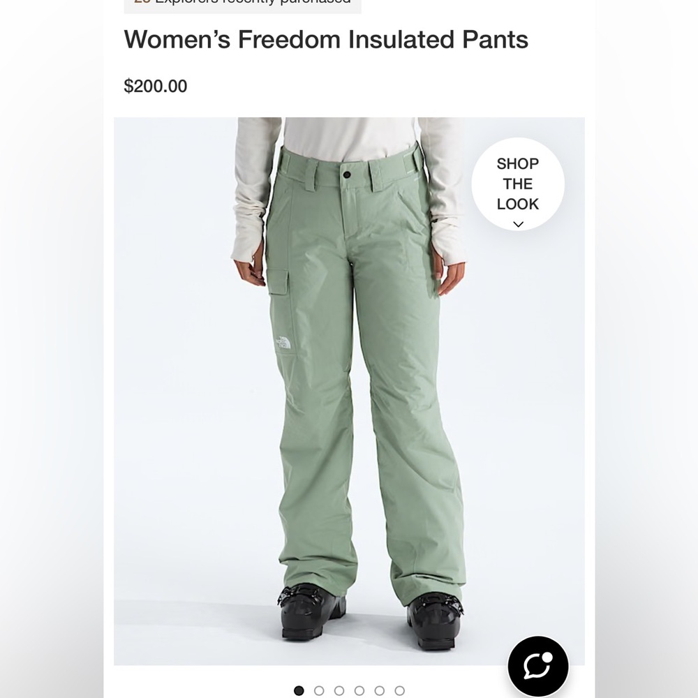The North Face Freedom Women's Insulated Snow Pants